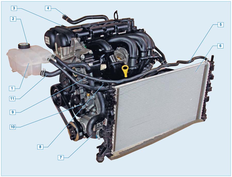 Ford Focus II. Система охлаждения двигателей 1,4Duratec, 1,6Duratec и 1,6Duratec Ti-VCT