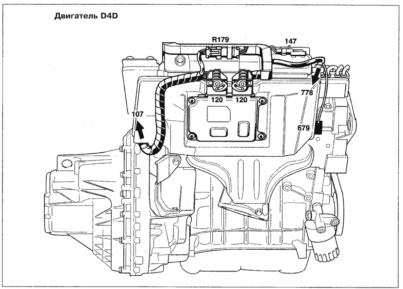 Эксплуатация, обслуживание и ремонт автомобилей Renault Kangoo (Рено Канго) (с двигателем 1.2i D4F и D7F, 1.4i K7J и E7J, 1.6i K4M и K7M, 1.5 DCI K9K, 1.9F8Q, 1.9 TDI F9Q). Схемы прокладки жгутов проводки по двигателю D4D