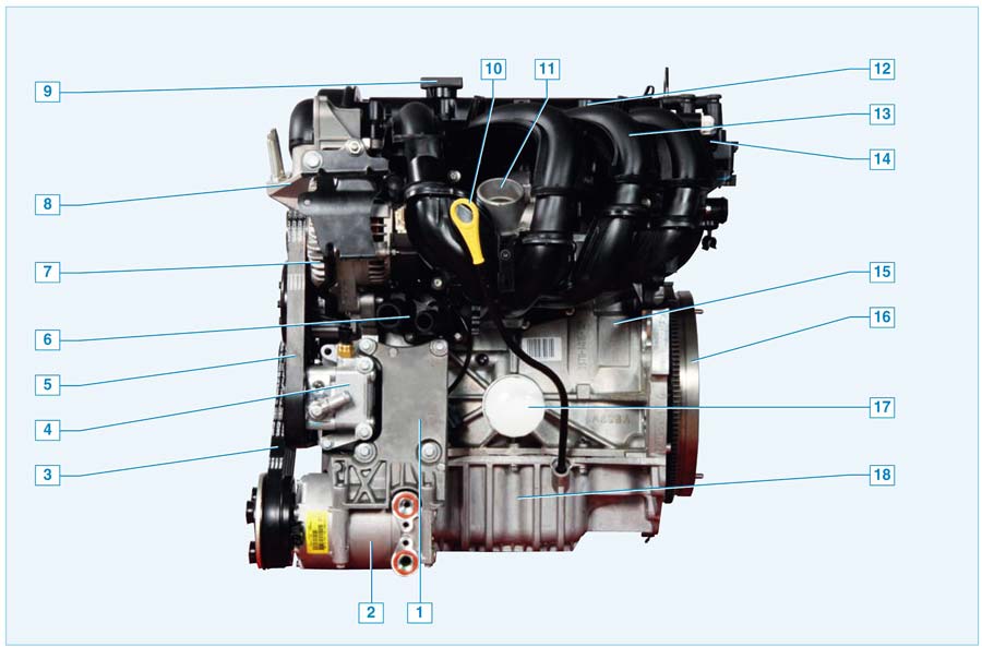  Ford Focus II. Описание конструкции двигателей 1,4 Duratec и 1,6 Duratec