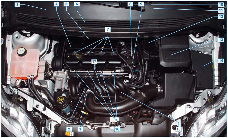 Ford Focus II. Конструкция системы управления двигателями 1,4Duratec, 1,6Duratec и 1,6Duratec Ti-VCT