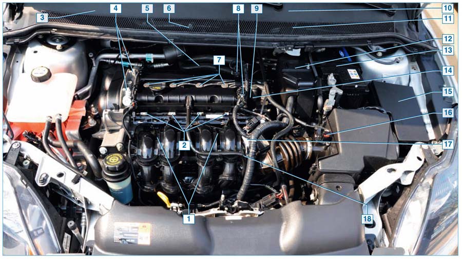 Ford Focus II. Конструкция системы управления двигателями 1,4Duratec, 1,6Duratec и 1,6Duratec Ti-VCT