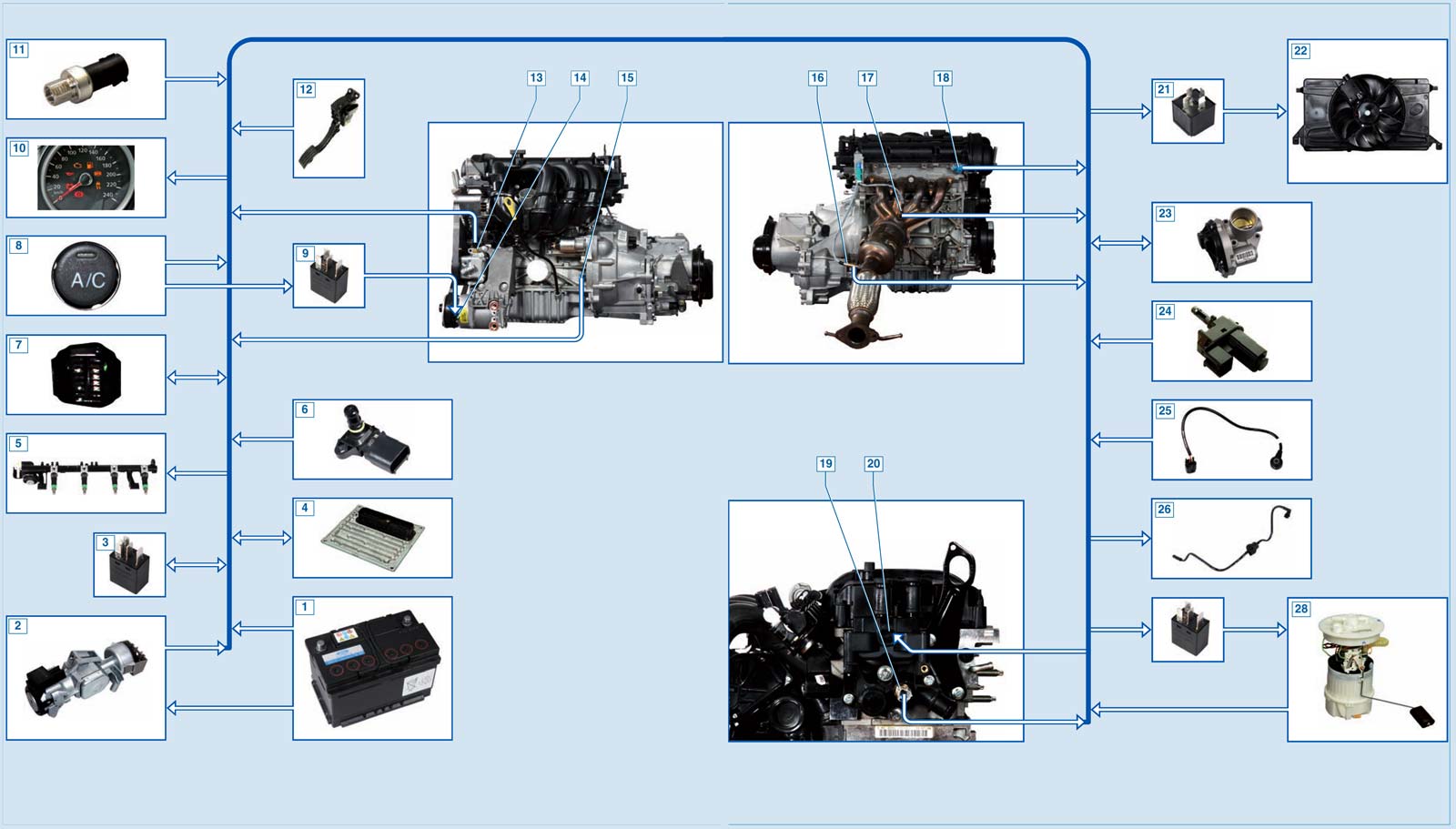 Ford Focus II. Описание конструкции системы управления двигателями 1,4Duratec, 1,6Duratec и 1,6Duratec Ti-VCT